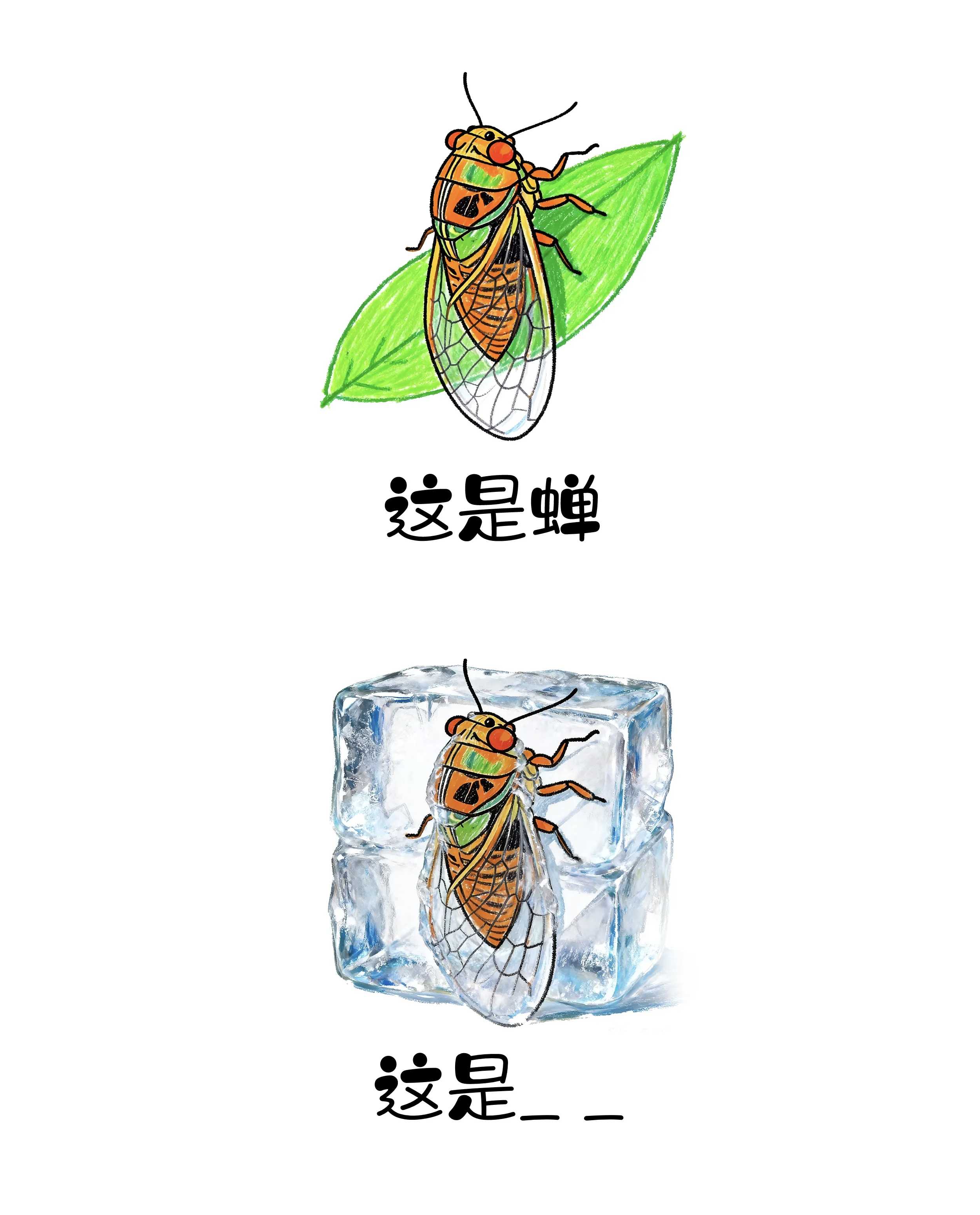 云顶集团(中国区)有限公司 - 官方网站