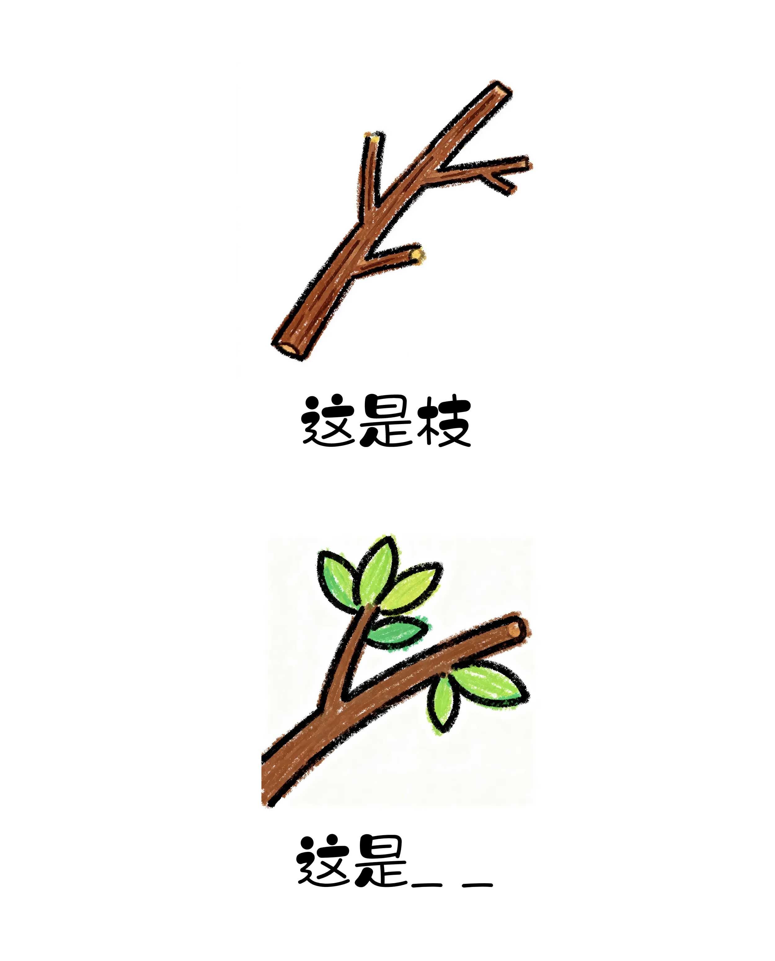 云顶集团(中国区)有限公司 - 官方网站